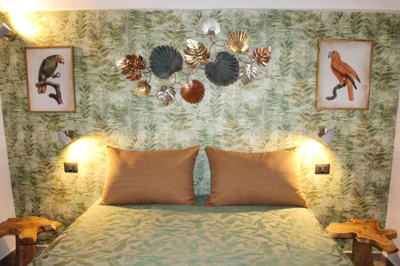 B&B Quispaccanapoli ภายนอก รูปภาพ